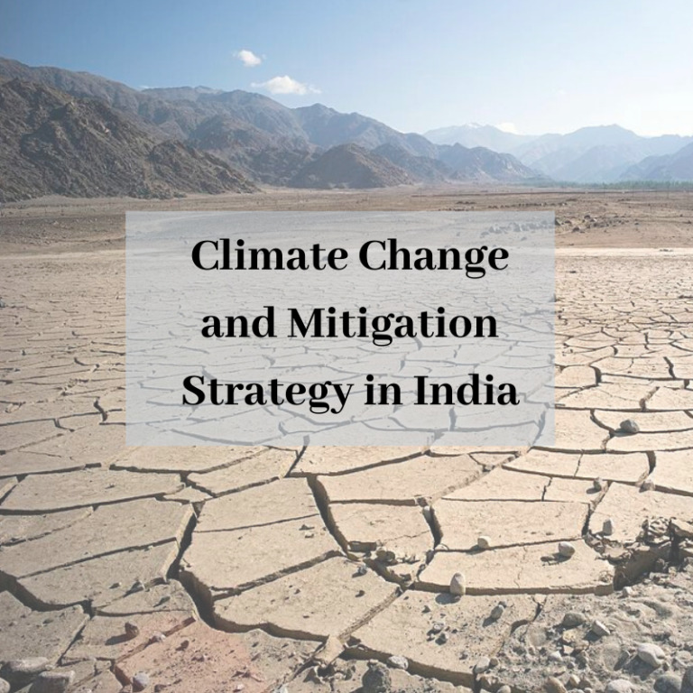 Climate Change and Mitigation Strategy in India
