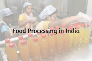 Focusing on Food Processing Industries