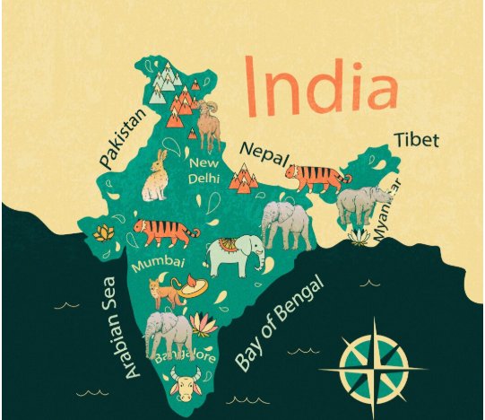 The Drifting Island: India’s Epic Geological Journey and Its Wild Legacy